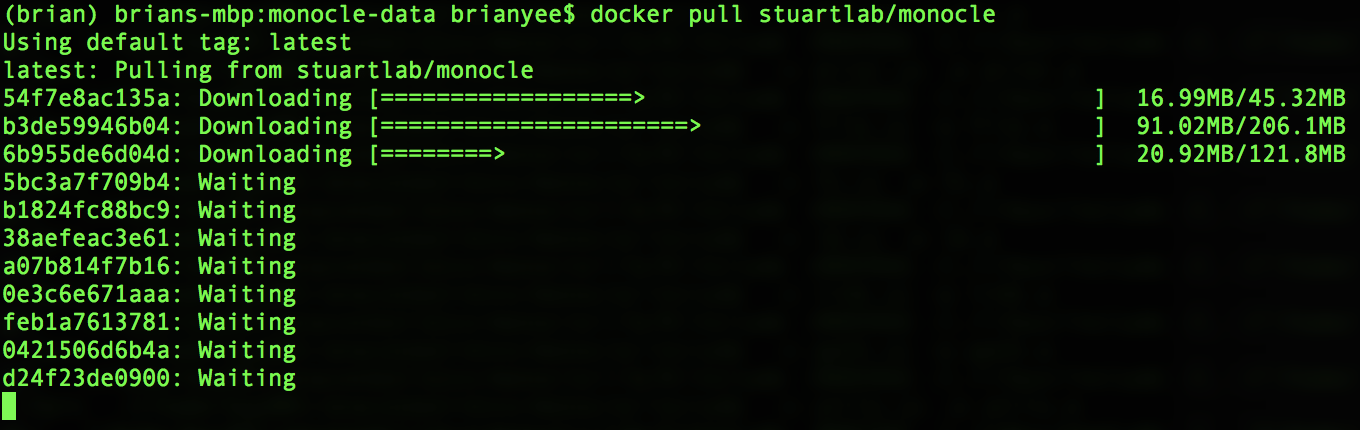 Docker Pull Example